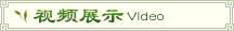 龍腦樟樹(shù)視頻展示